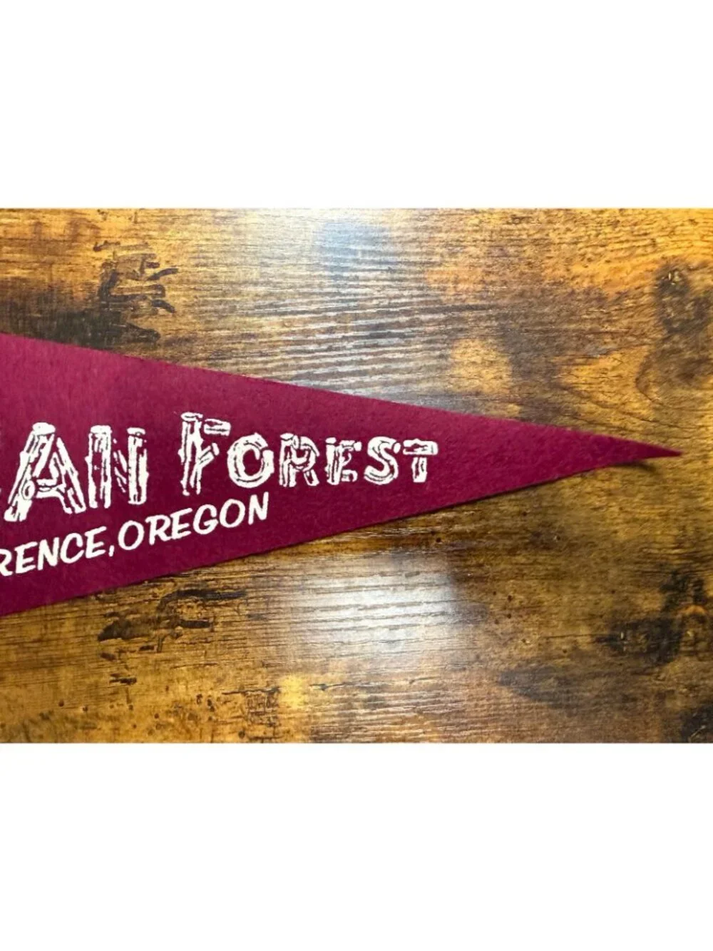 Vintage Indian Forest Hwy. 101 Florence, Oregon pennant